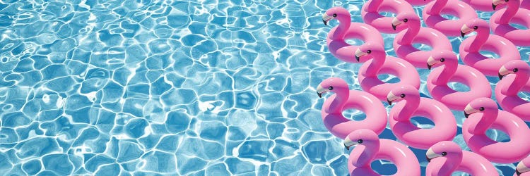 3D Rendering A Lot Of Flamingo Floats In A Pool