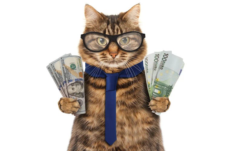 Funny Cat Is Holding Cash Canvas Artwork by funny_cats | iCanvas