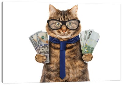 Funny Cat Is Holding Cash Canvas Art Print - Money Collection