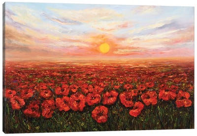 Flower Fields Sunset Canvas Art Print
