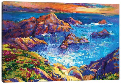 Ocean And Cliffs Canvas Art Print