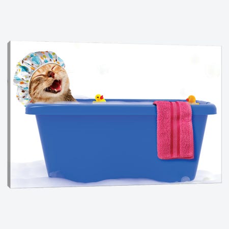 Funny Cat Is Taking A Bath In A Colorful Bathtub With Toy Duck Canvas Print #DPT63} by funny_cats Canvas Wall Art