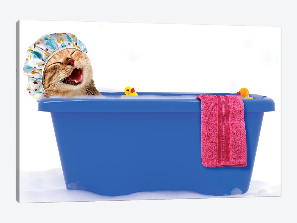 Funny Cat Is Taking A Bath In A Colorful Bathtub With Toy Duck 1-piece Canvas Artwork