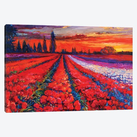 Poppy Fields Canvas Print #DPT640} by borojoint Art Print