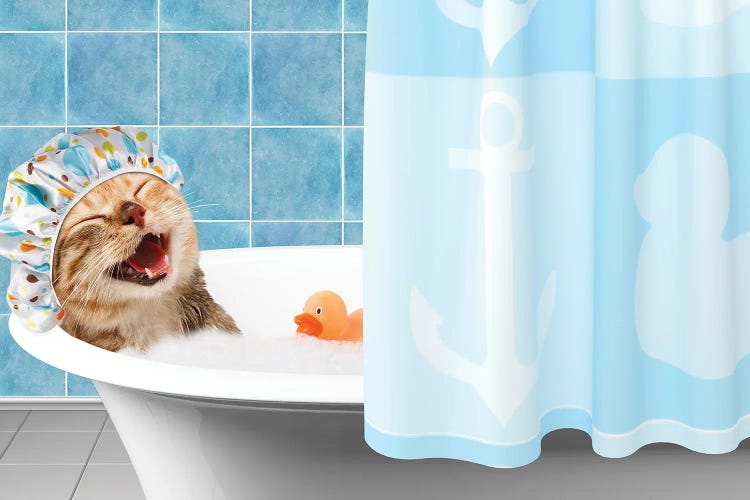 Funny Cat Is Taking A Bath With Toy Duck