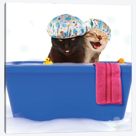 Two Funny Cats Are Taking A Bath In A Colorful Bathtub With Toy Duck Canvas Print #DPT65} by funny_cats Canvas Print