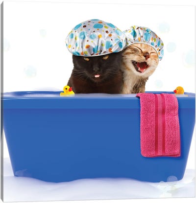 Two Funny Cats Are Taking A Bath In A Colorful Bathtub With Toy Duck Canvas Art Print