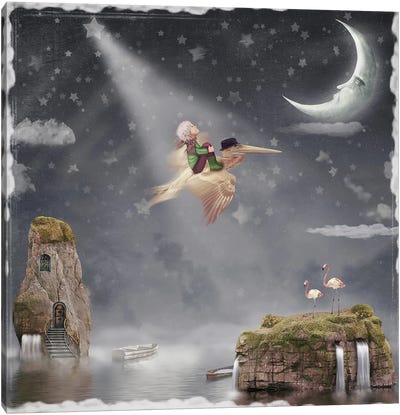 Child And Pelican Flying In The Night Sky Canvas Art Print