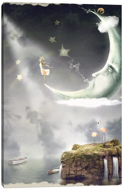 The Illustration Shows The Girl Which Admire Sky In Stars Canvas Art Print
