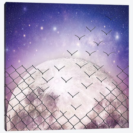 Astral Birds Escape Canvas Print #DPT731} by psychoshadow Art Print