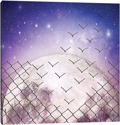 Astral Birds Escape Canvas Art Print