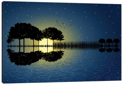 Guitar Island Moonlight Canvas Art Print - Astronomy & Space Art