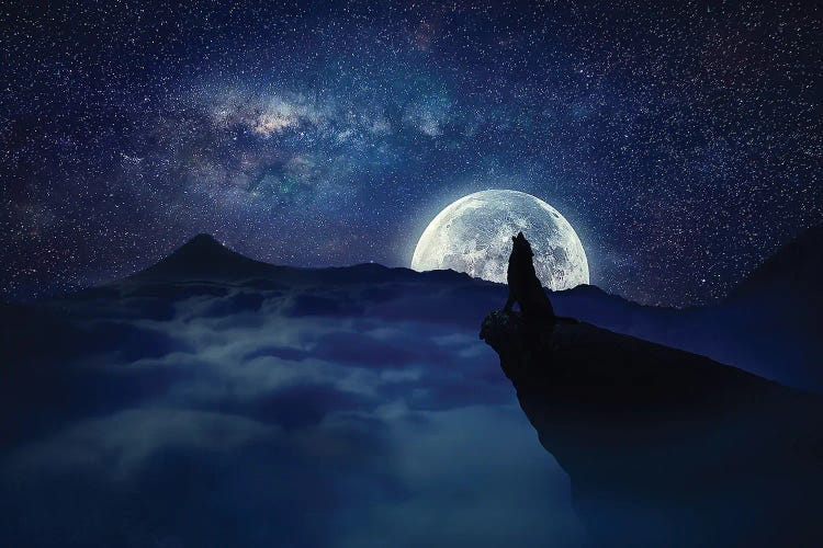 Lonely Wolf Moonlight by psychoshadow wall art