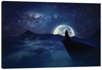Lonely Wolf Moonlight Canvas Art Print - Fine Art Collection