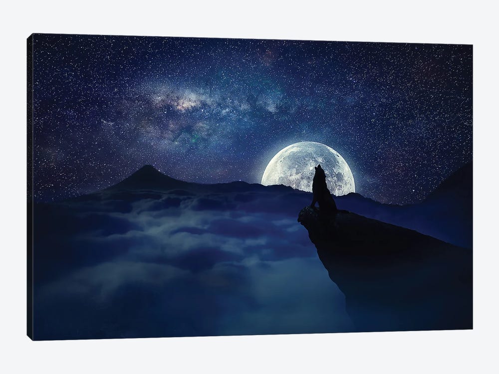 Lonely Wolf Moonlight by psychoshadow 1-piece Canvas Print