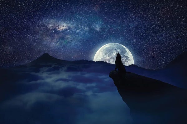 DepositPhotos: Lonely Wolf Moonlight by psychoshadow