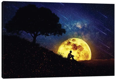The Healing Power Of Nature Night Scene Canvas Art Print - Fine Art Collection