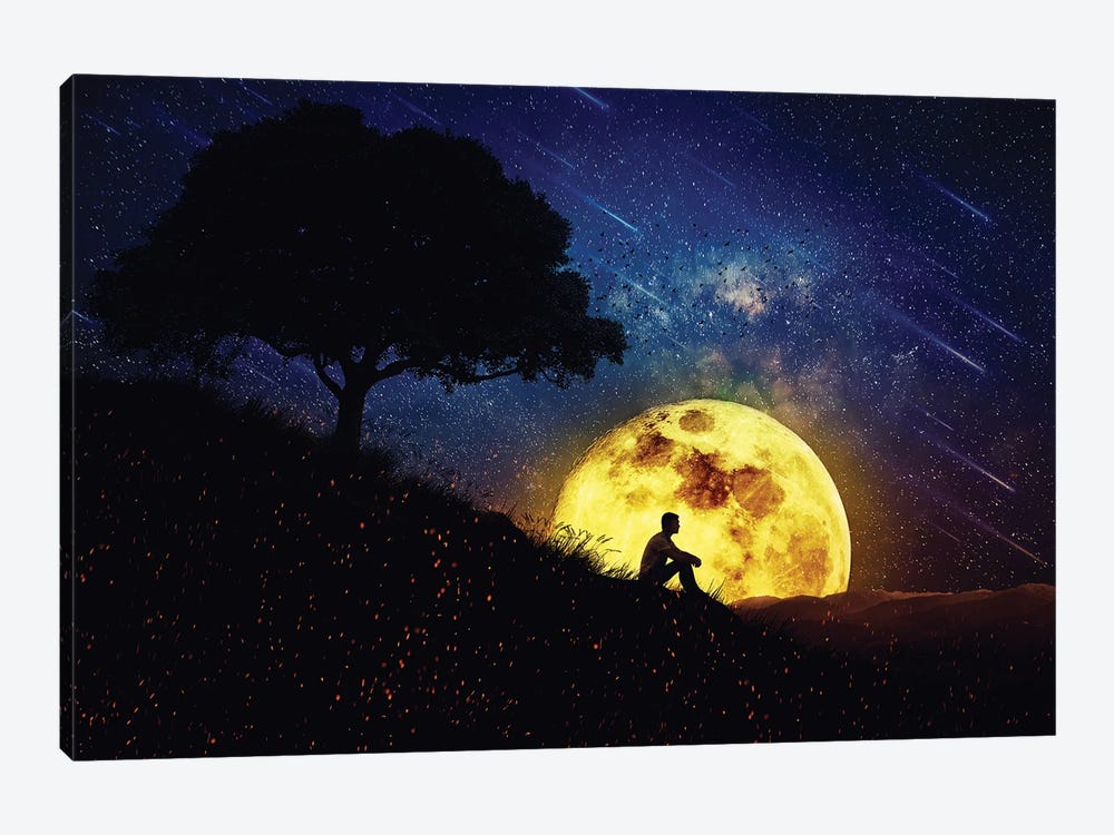 The Healing Power Of Nature Night Scene by psychoshadow 1-piece Canvas Artwork