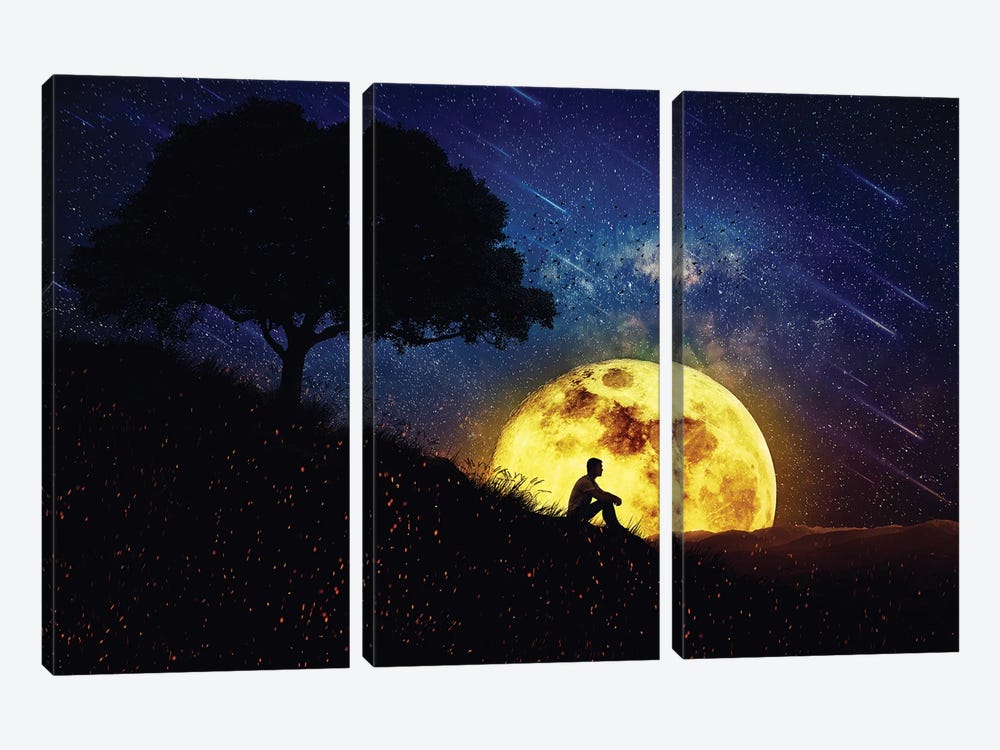 The Healing Power Of Nature Night Scene by psychoshadow 3-piece Canvas Wall Art
