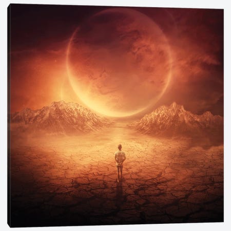 Walk On The Red Planet Canvas Print #DPT755} by psychoshadow Canvas Art