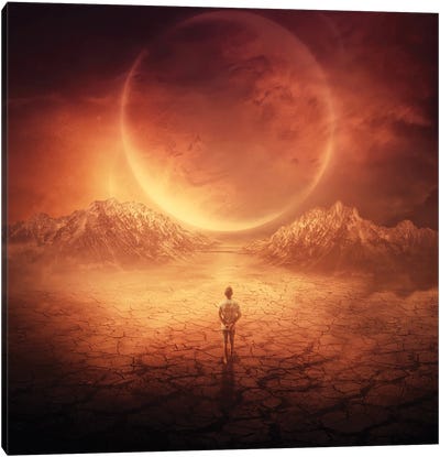 Walk On The Red Planet Canvas Art Print