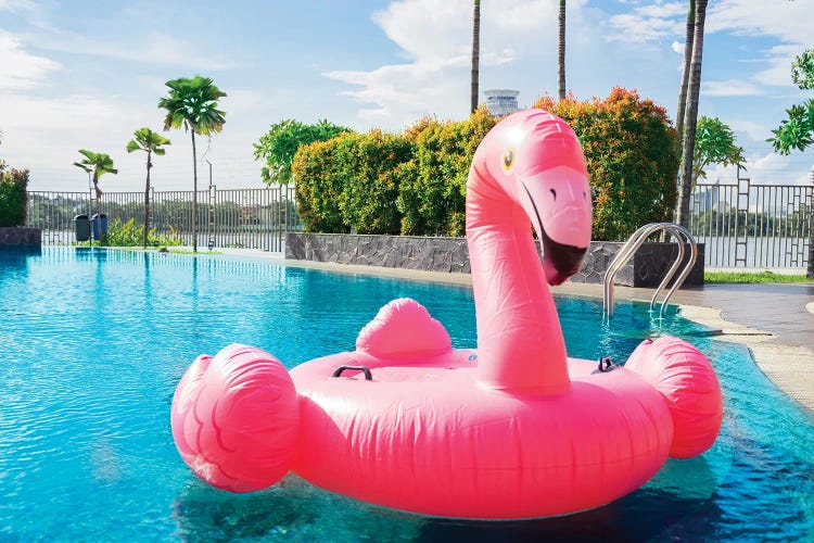 Portrait Of Pink Flamingo Float On Swimming Pool