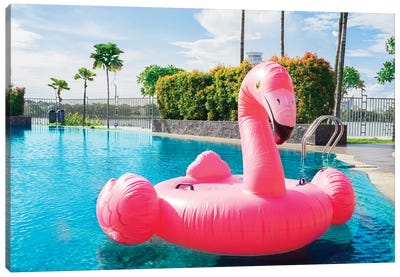 Portrait Of Pink Flamingo Float On Swimming Pool Canvas Art Print