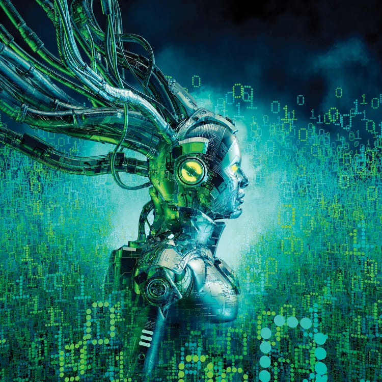 Binary Dreamer Girl by grandeduc wall art