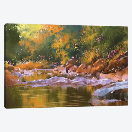 River Lines With Stones In Beautiful Forest Canvas Print #DPT78} by grandfailure Canvas Art Print