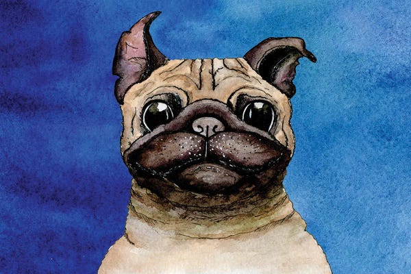 Pugs: Bulldog On A Blue Background by gum92