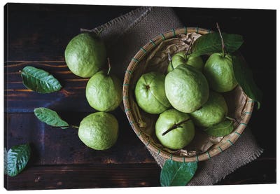 Green Vietnamese Guavas Canvas Art Print