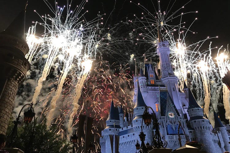 Happily Ever After Fireworks Disney by agustinadc wall art