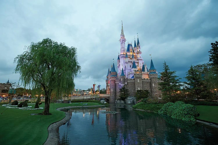 DisneyLand Castle, Tokyo, Japan by jekyll wall art