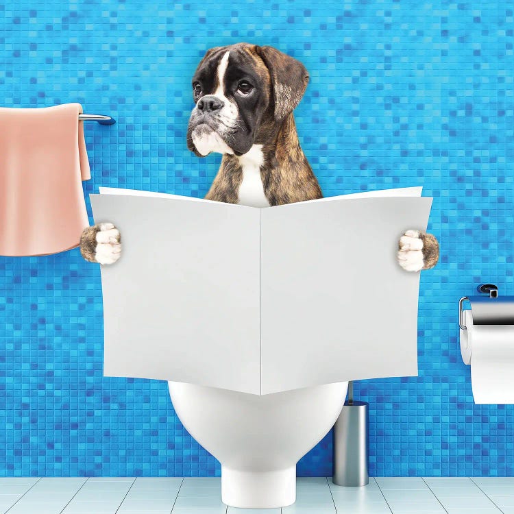 Boxer Sitting On A Toilet Seat Reading