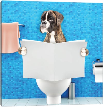 Boxer Sitting On A Toilet Seat Reading Canvas Art Print - Animal Collection