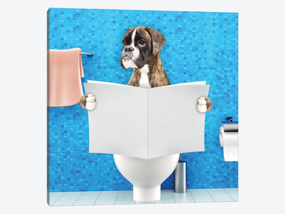 Boxer Sitting On A Toilet Seat Reading by helga1981 1-piece Canvas Artwork