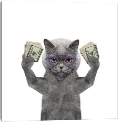Cat In Glasses Holds In Its Paws A Lot Of Money Canvas Art Print - Money Collection