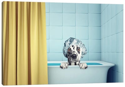 Cute Wet Dog In The Bath Canvas Art Print