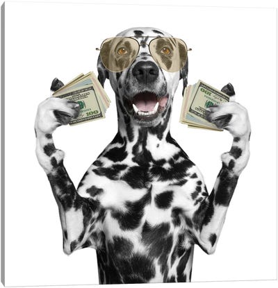Dog In Glasses Holds In Its Paws A Lot Of Money Canvas Art Print - Money Collection