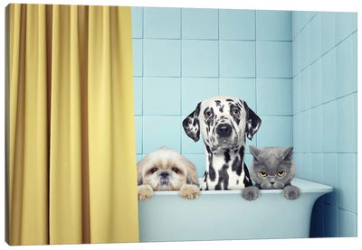 Two Dogs And Cat In The Bath Canvas Art Print - Animal & Pet Photography