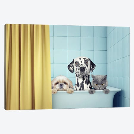 Two Dogs And Cat In The Bath Canvas Print #DPT90} by helga1981 Art Print