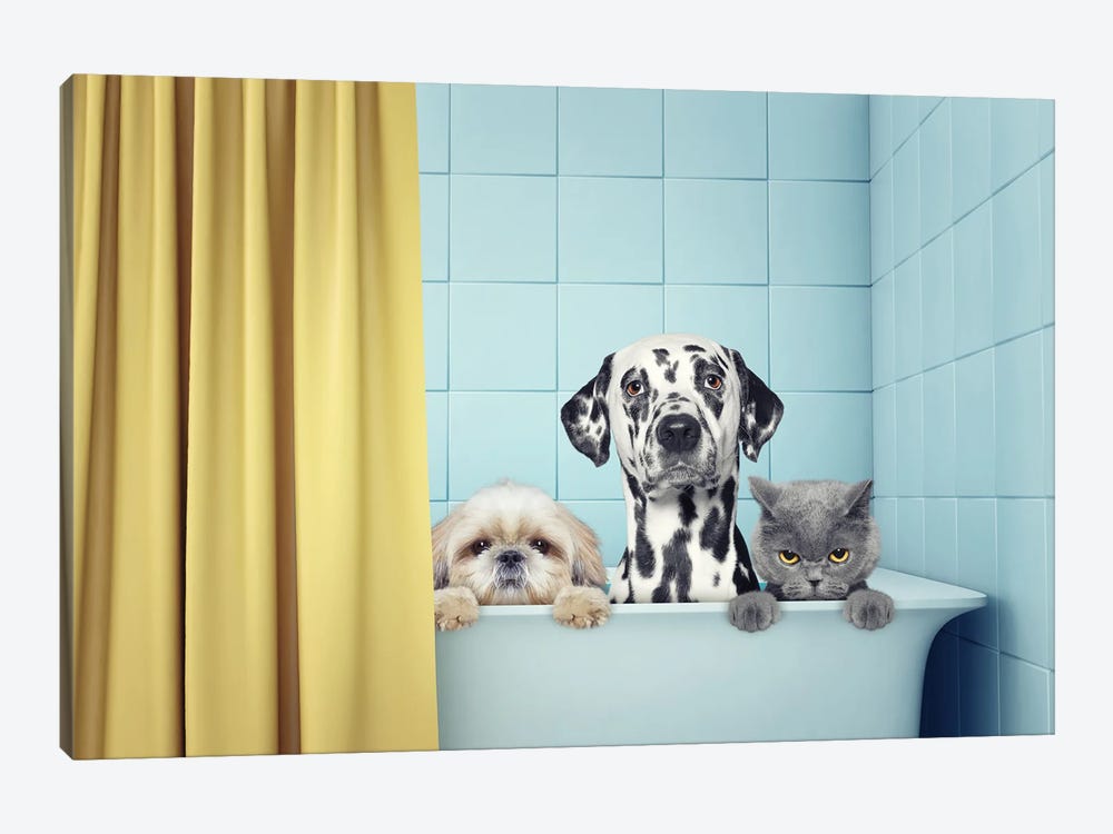 Two Dogs And Cat In The Bath by helga1981 1-piece Canvas Artwork