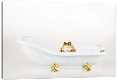 Cute Green Frog In Small Luxury Bathtub Isolated On White Canvas Art Print