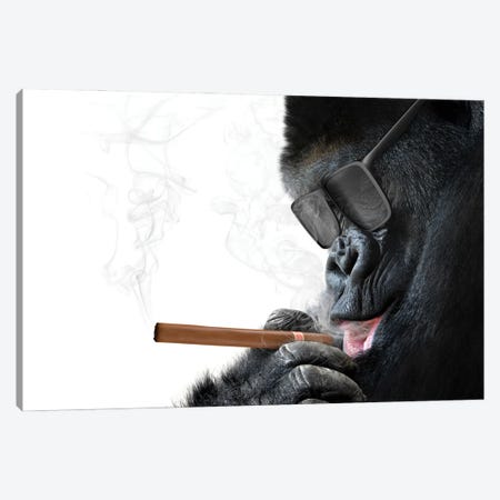 Gorilla With Cool Sunglasses Smoking A Cigar Canvas Print #DPT99} by Kagenmi Canvas Art Print