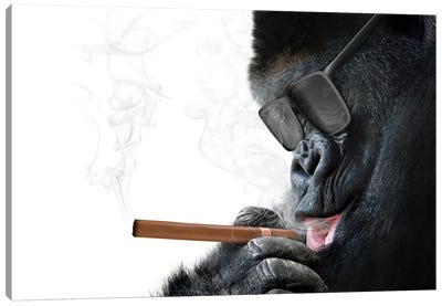 Gorilla With Cool Sunglasses Smoking A Cigar Canvas Art Print - Animal Collection