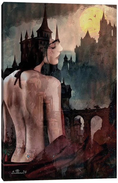 Castle Tales Canvas Art Print - Dominique Baduel