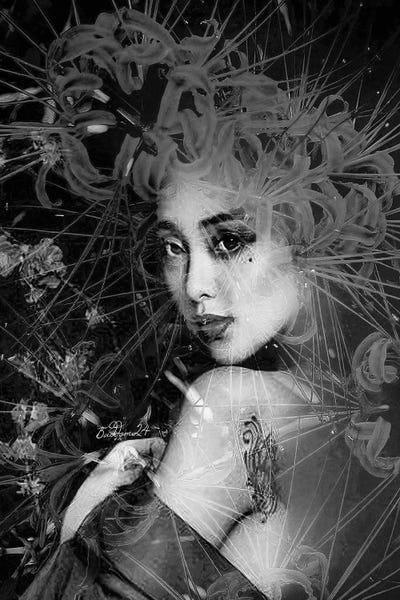 Extravaganza by Dominique Baduel framed canvas print