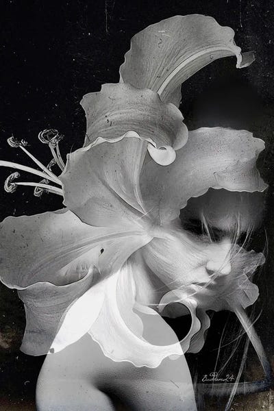 Black & White Florals: White Lady by Dominique Baduel