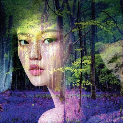 Bluebell by Dominique Baduel canvas print