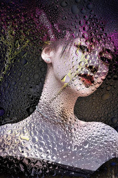 Dominique Baduel: Misty Peacok by Dominique Baduel